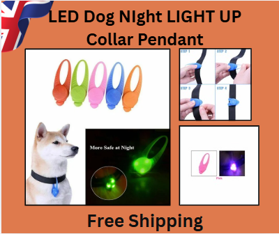 GlowSafe LED Dog Collar Tag – Flashing Luminous Night Pendant for Pets